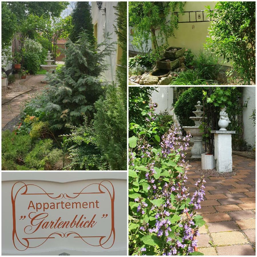 Gartenblick Apartment